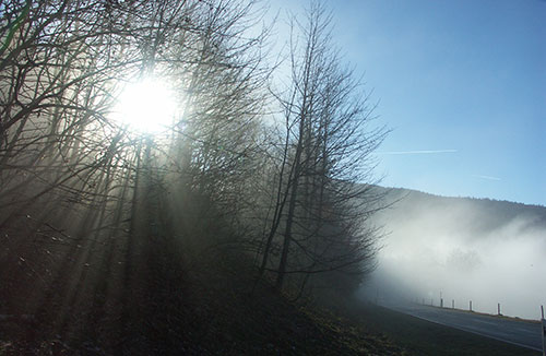 Münsterhalden Herbststimmung