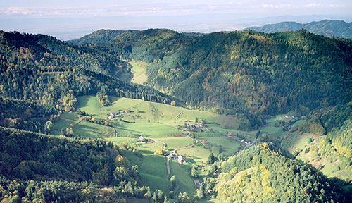 Münsterhalden 