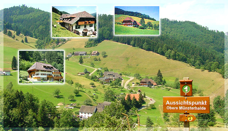 Ferienwohnungen Gästezimmer Bauernhof Bauernladen im Schwarzwald Münstertal Münsterhalden