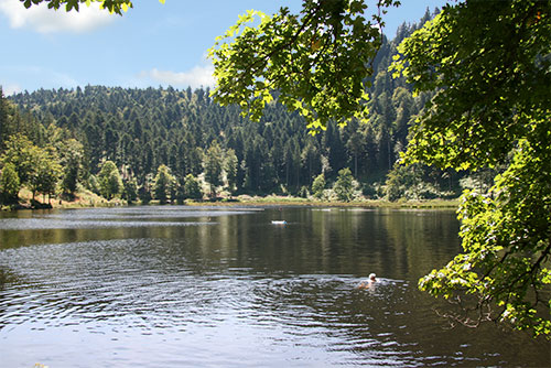 Nonnenmattweiher