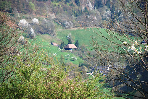 Schwarzwaldhaus